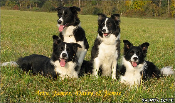 Arty, James, Daisy & Jamie, 24. 10. 2009, foto  Jana Malinsk